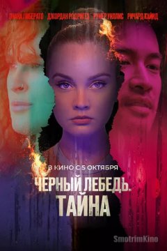 Черный лебедь. Тайна