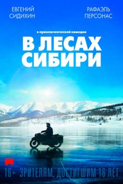 В лесах Сибири