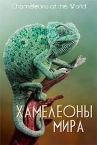 Постер: Хамелеоны мира