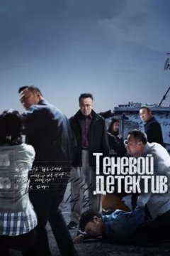 Теневой детектив