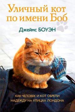 Уличный кот по кличке Боб