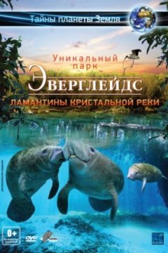 Постер: Эверглейдс 3D: Ламантины Кристальной реки