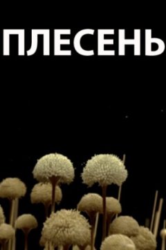 Постер: Плесень