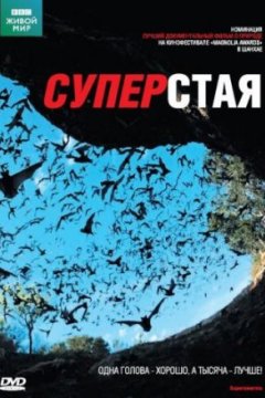 Постер: BBC: Суперстая