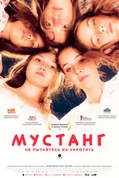 Постер: Мустанг