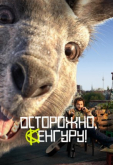 Осторожно, Кенгуру!