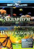 Полет бабочки 3D